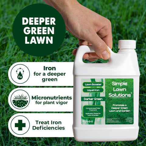 Close-up of darker-green lawn color with emerald shine using Simple Lawn Solutions