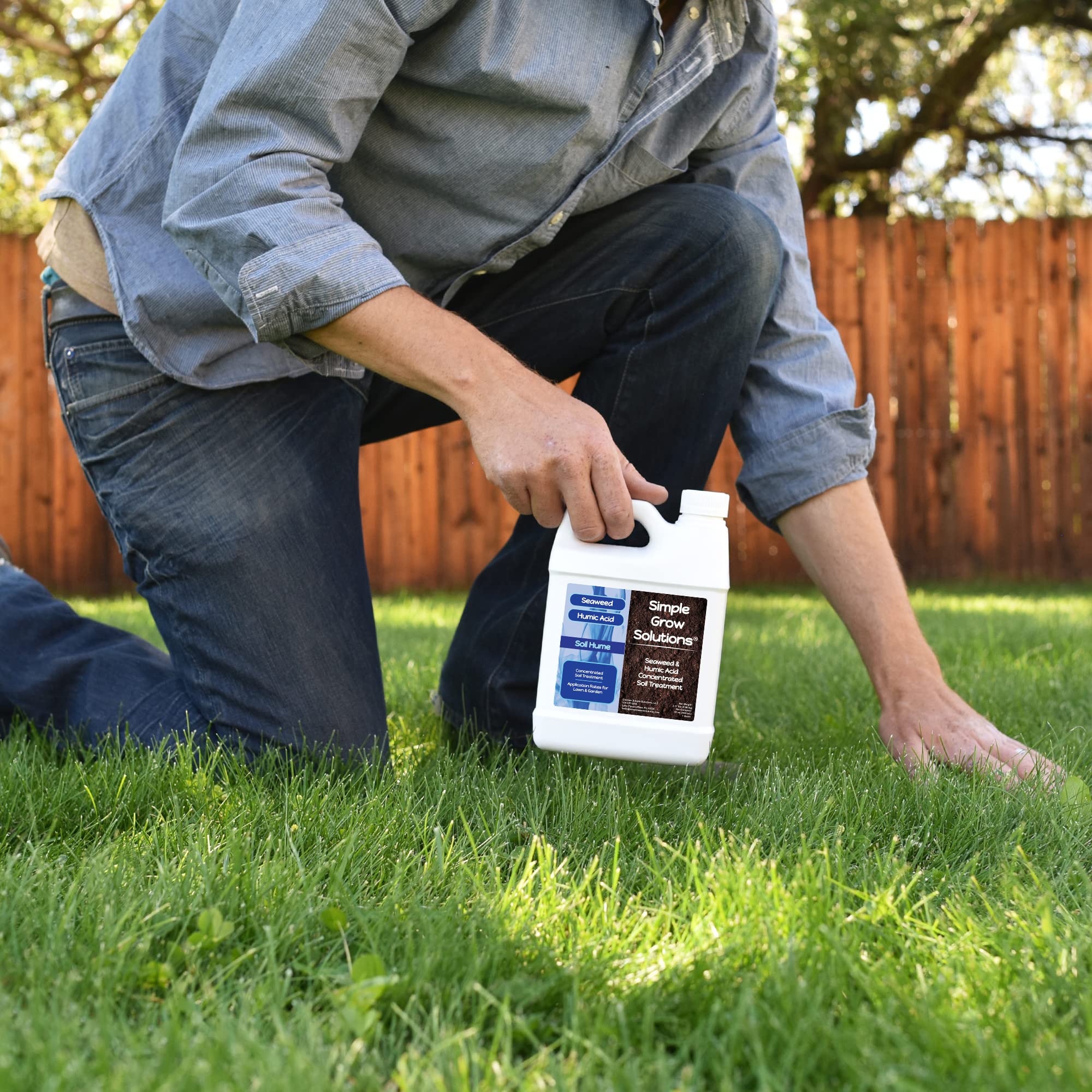 Indoor plants treated with Simple Lawn Solutions seaweed blend for vigor.