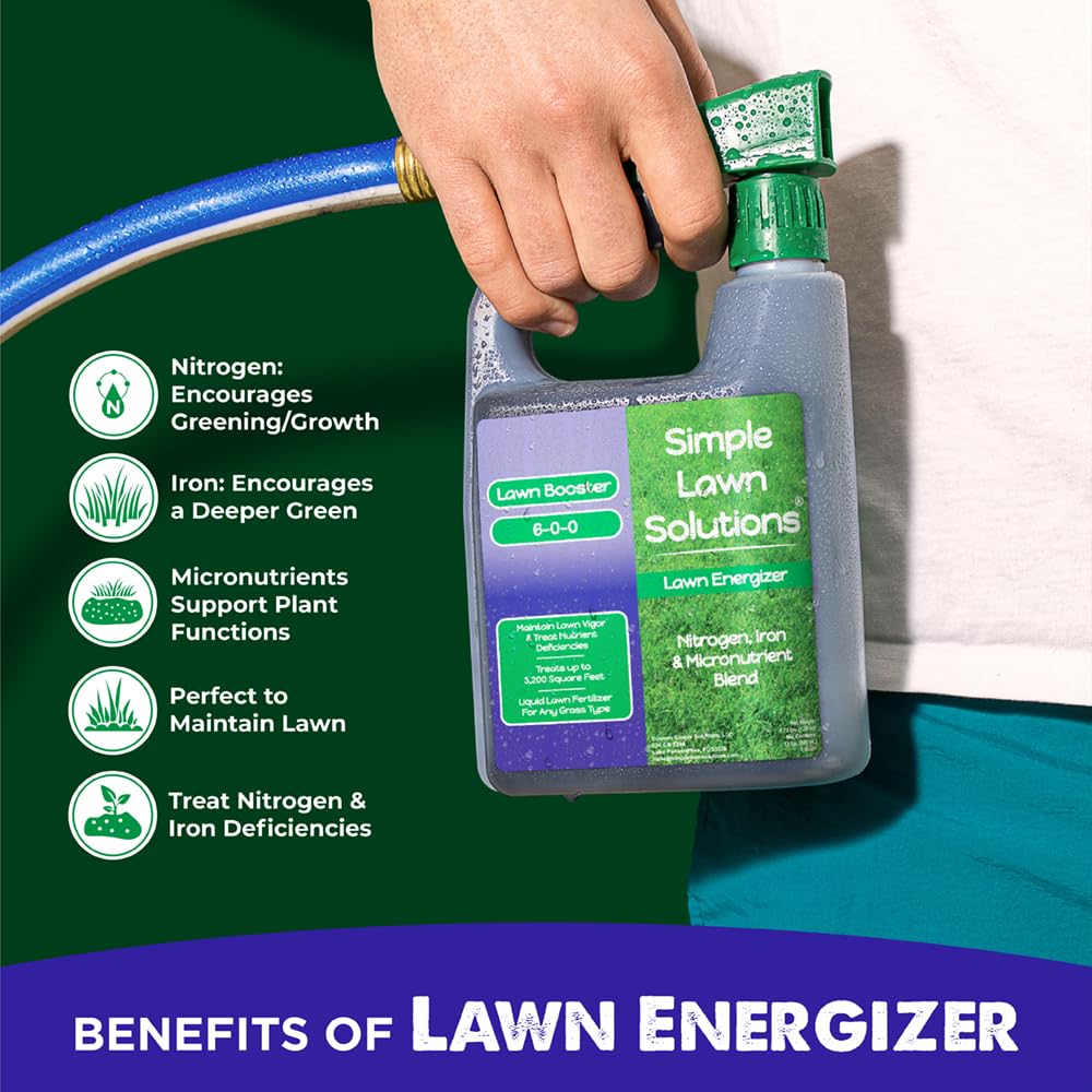 Deep green turf appearance after Lawn Energizer treatment