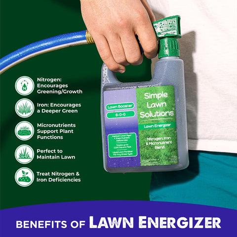 Deep green turf appearance after Lawn Energizer treatment