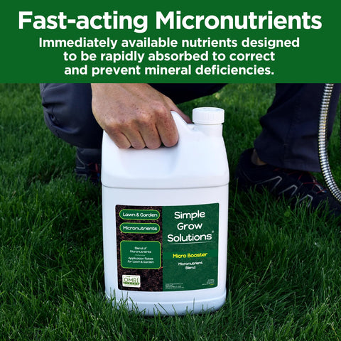 Flowers show richer color after Micro Booster micronutrient supplementation.