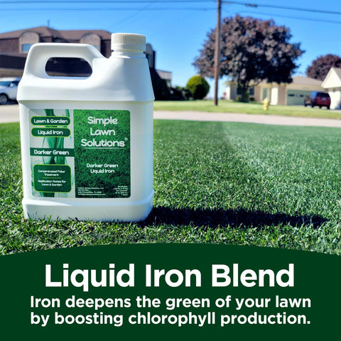 Ornamentals and flower beds prepared for iron nutrition with Simple Lawn Solutions