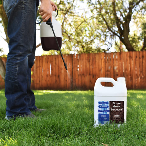 St. Augustine lawn receives nutrient support with Simple Lawn Solutions blend.