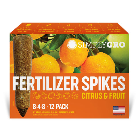 SimplyGro Fertilizer Spikes applied at citrus tree base for steady root feeding.