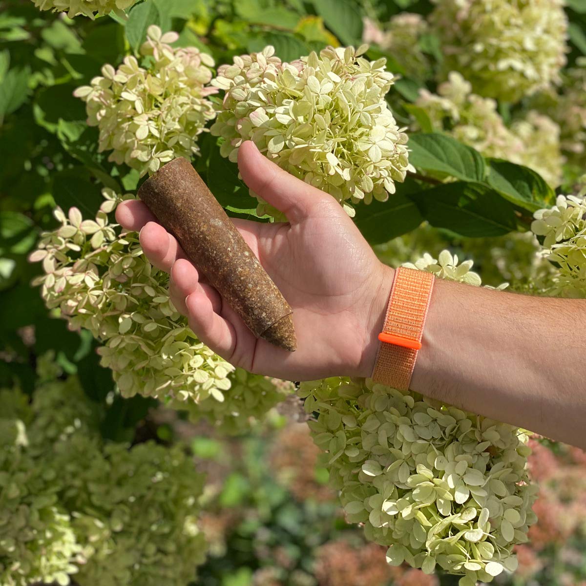 SimplyGro Fertilizer Spikes for fruit trees and shrubs delivering measured nutrition.
