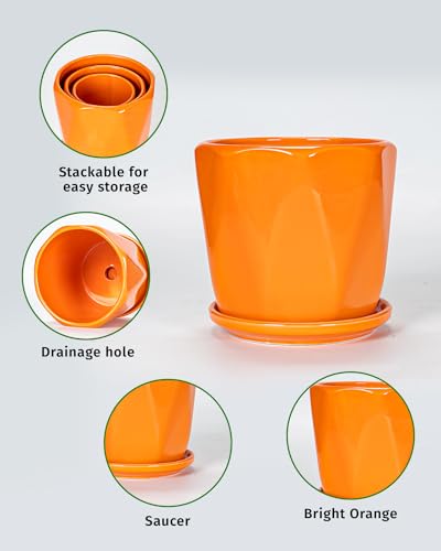 Sin wings drainage pot with saucer supporting orange finish and leak protection