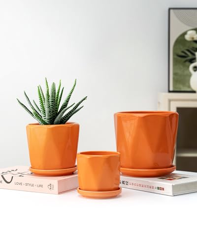 Sin wings octagon ceramic planter 3.9 inch perfect for herbs on shelves