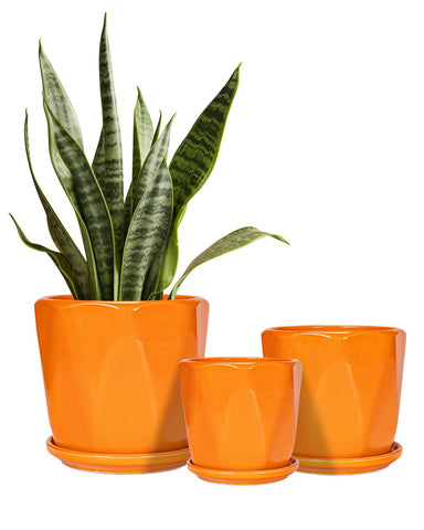 Sin wings octagon ceramic planter 6.7 inch with drainage for indoor plants