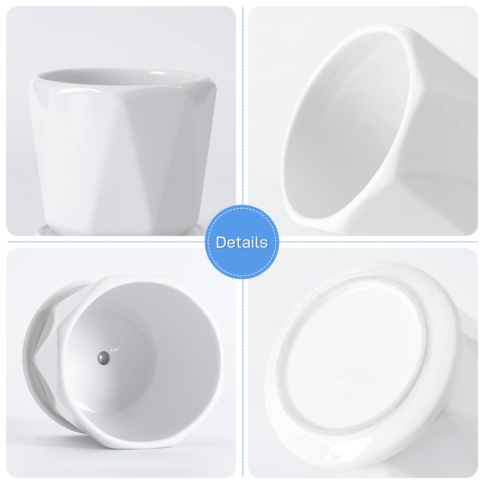 Sin Wings drainage holes and saucer prevent overwatering