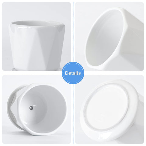 Sin Wings drainage holes and saucer prevent overwatering