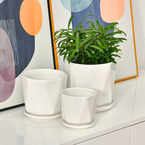 Sin Wings modern triangular planter design adds minimalist decor
