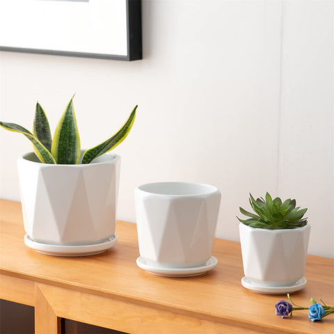 Sin Wings 5.5 inch planter showcasing clean opening for herbs