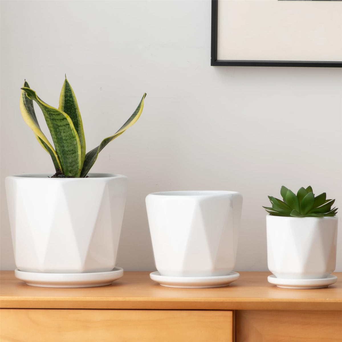 Sin Wings octagon ceramic planter in 6.7 inch size with drainage for indoor succulents