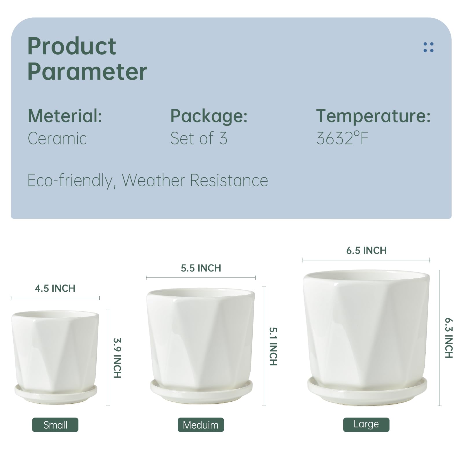 Sin Wings window sill display with white ceramic planters