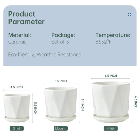 Sin Wings window sill display with white ceramic planters