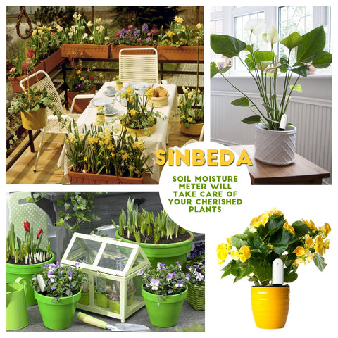 Sinbeda growth records in app for tracking daily plant progress