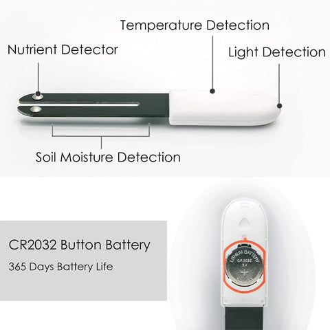Sinbeda moisture detection sensor shows water needs with accurate readings.