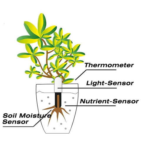 Sinbeda moisture sensor detects soil water level for watering cues