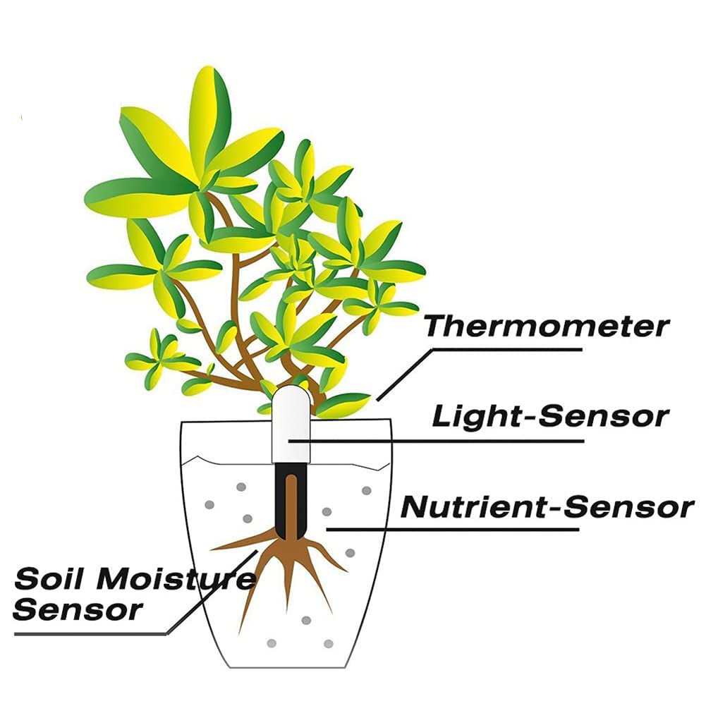 Sinbeda stainless steel EC fertility sensor supports long-term soil data.