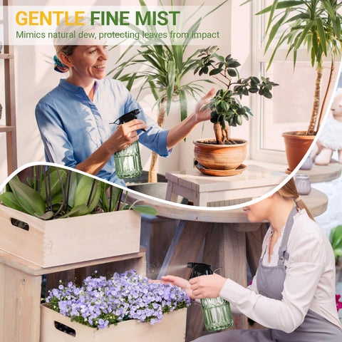 Sincengel glass plant mister bottle suitable for indoor plants and garden care.