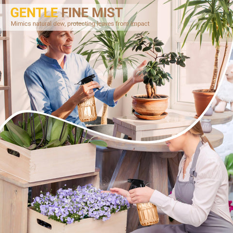 Sincengel lead-free BPA-free durable glass highlights safety and longevity
