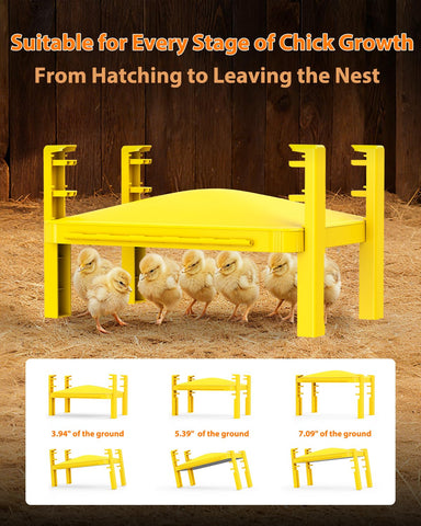 Sindarhor Brooder Plate digital display showing real-time temperature