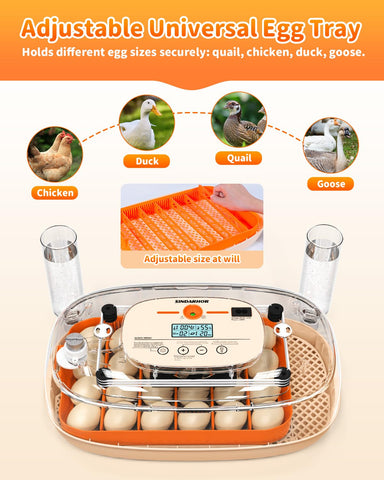 Durable ABS shell and quiet fan on Sindarhor incubator for classroom use.