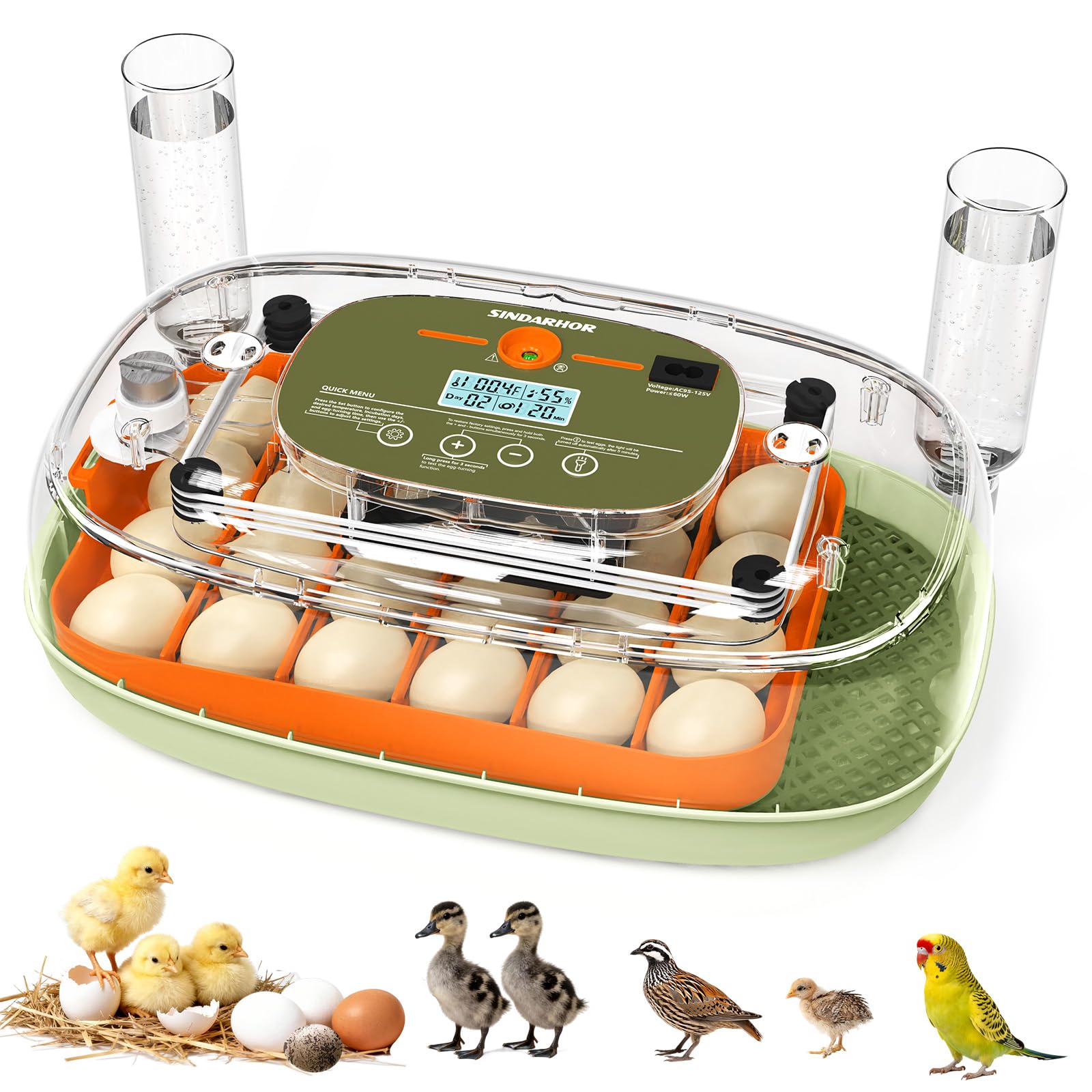 Sindarhor egg incubator 24-egg tray with digital display for precise temperature control.