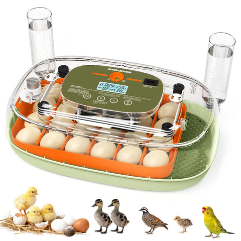 Sindarhor egg incubator 24-egg tray with digital display for precise temperature control.