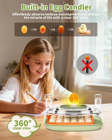 Durable ABS case with quiet fan designed for classrooms and home hatch projects.
