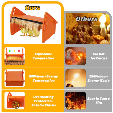 Sindarhor feather-attachment enhances perceived warmth for calmer chicks.