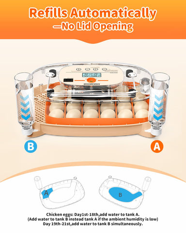 Sindarhor universal egg tray fits chicken, duck, quail and goose eggs.
