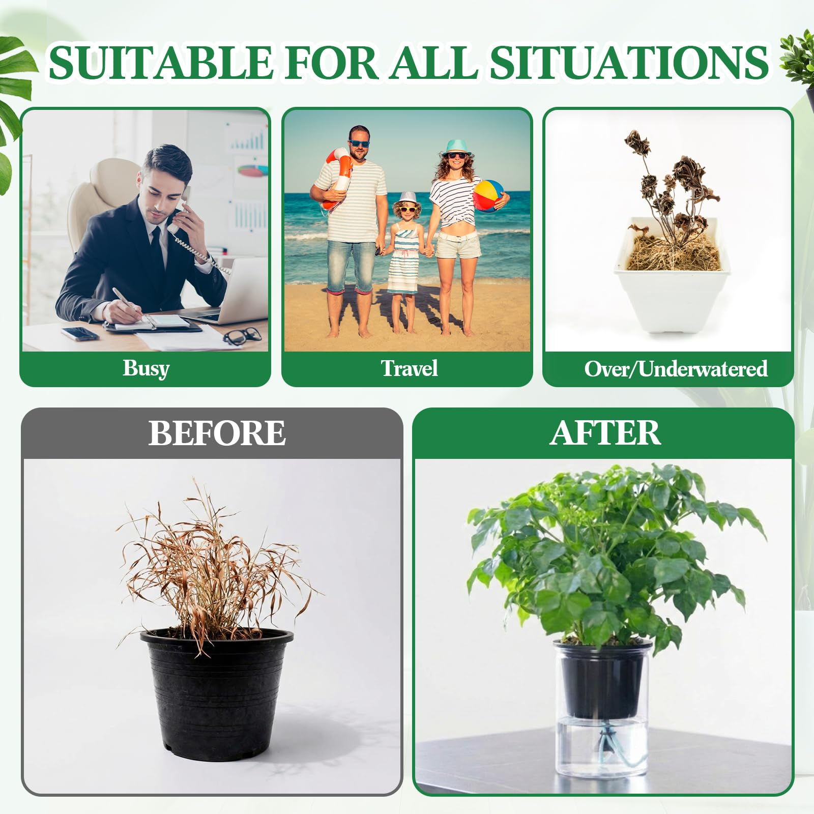 Singhoow DIY watering setup simplifies plant care