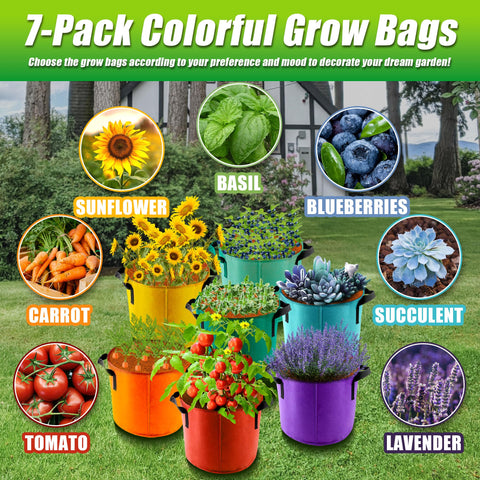 Sinimaka 7-pack colors offering creative setups for vegetables, herbs, or flowers.
