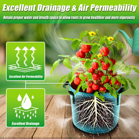 Sinimaka versatile planters suit balconies, patios, or indoor gardens.