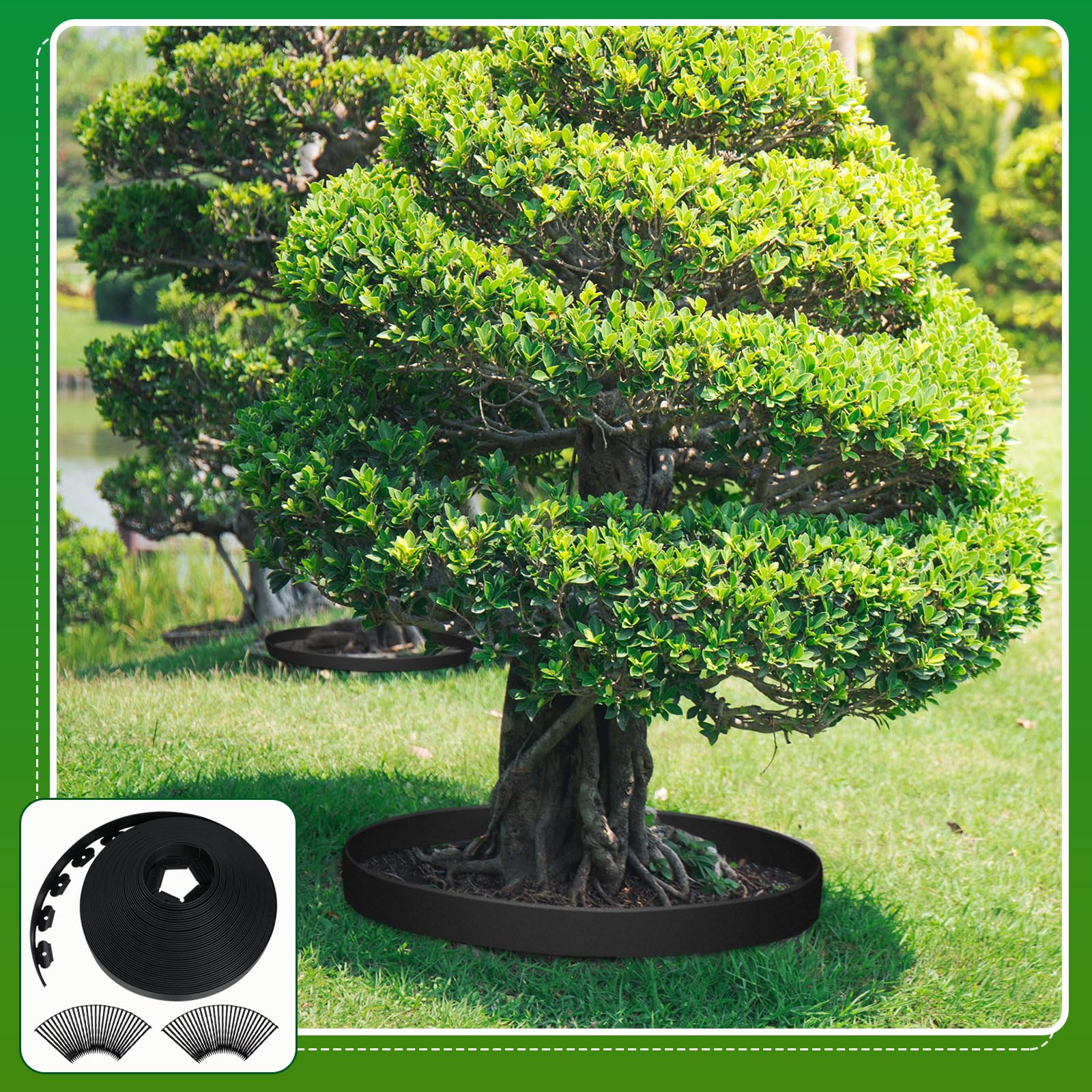 Sintuff black landscape edging adds defined garden separation.