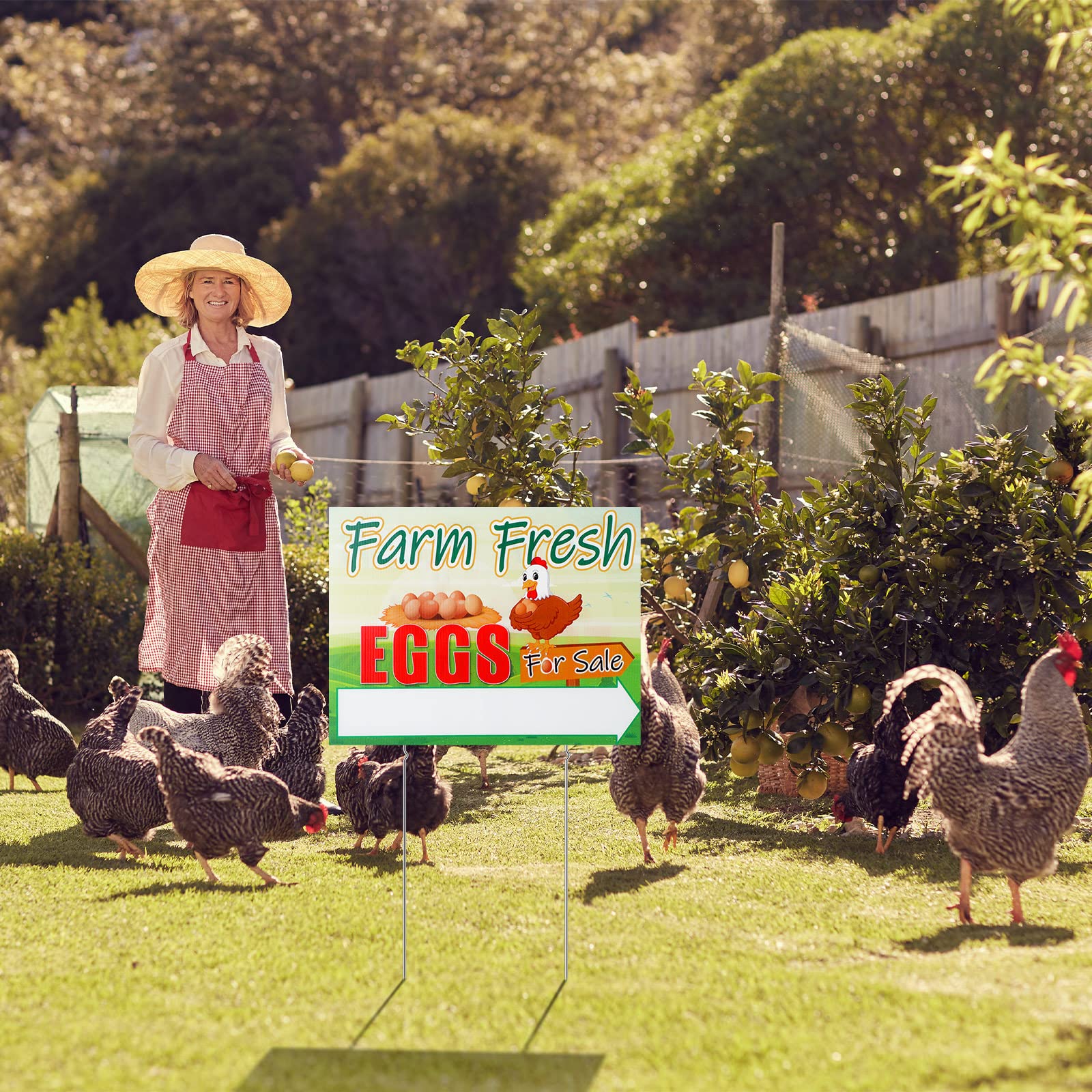 Sintuff eggs-for-sale-sign installed in ground offers durable yard advertising.