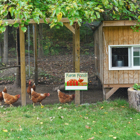 Sintuff eggs-for-sale-sign outdoor-ready for front yard installation.