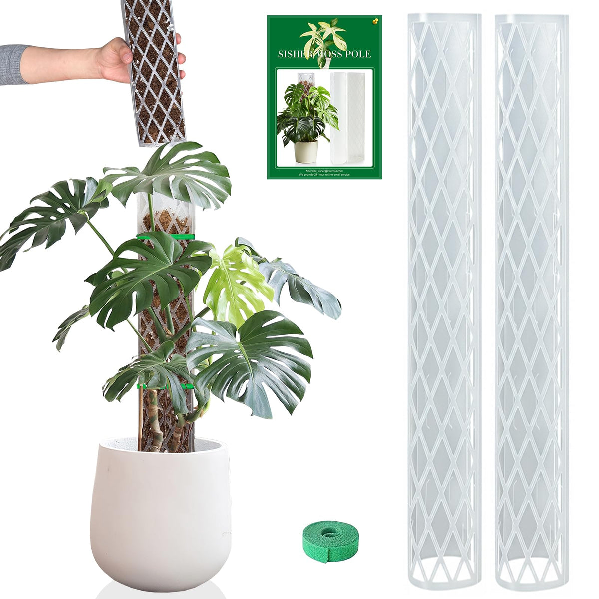 Sisher 16-inch D-shaped moss pole for climbing plants, sturdy support.