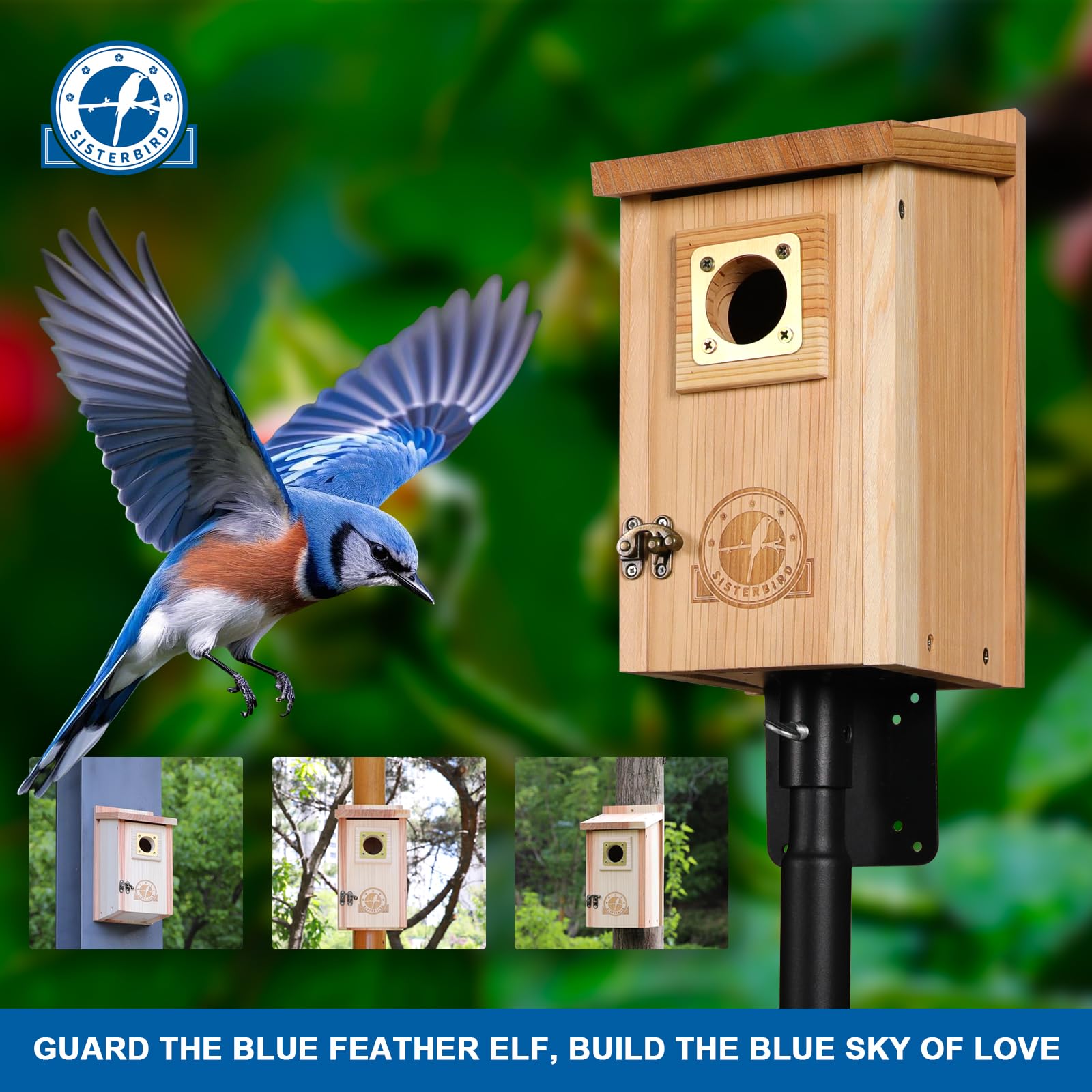 SISTERBIRD backyard bird house installed in a garden setting.