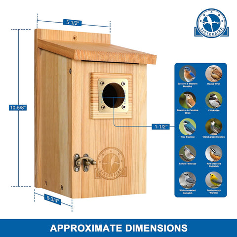 SISTERBIRD assembly kit enabling easy screwdriver setup and customization.