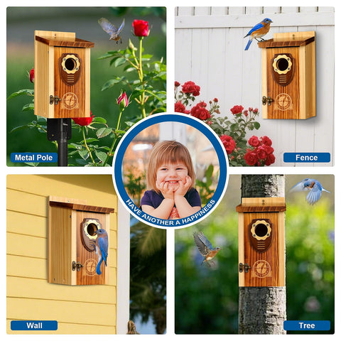SISTERBIRD bird house feeder ladder inside: built-in ladder aids feeding young birds