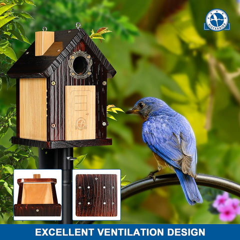 SISTERBIRD bluebird house with built-in ladder aids young birds.