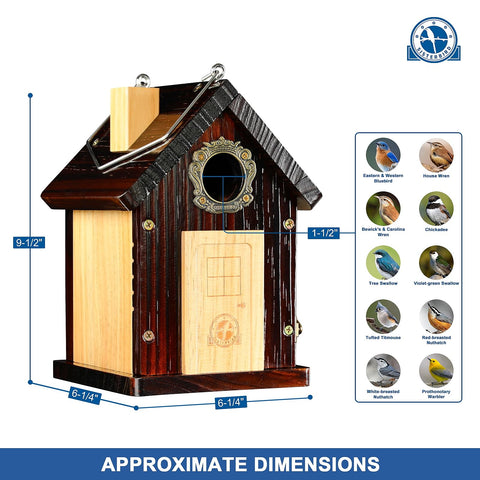 SISTERBIRD bluebird cabin design enhances garden decor and bird habitation.