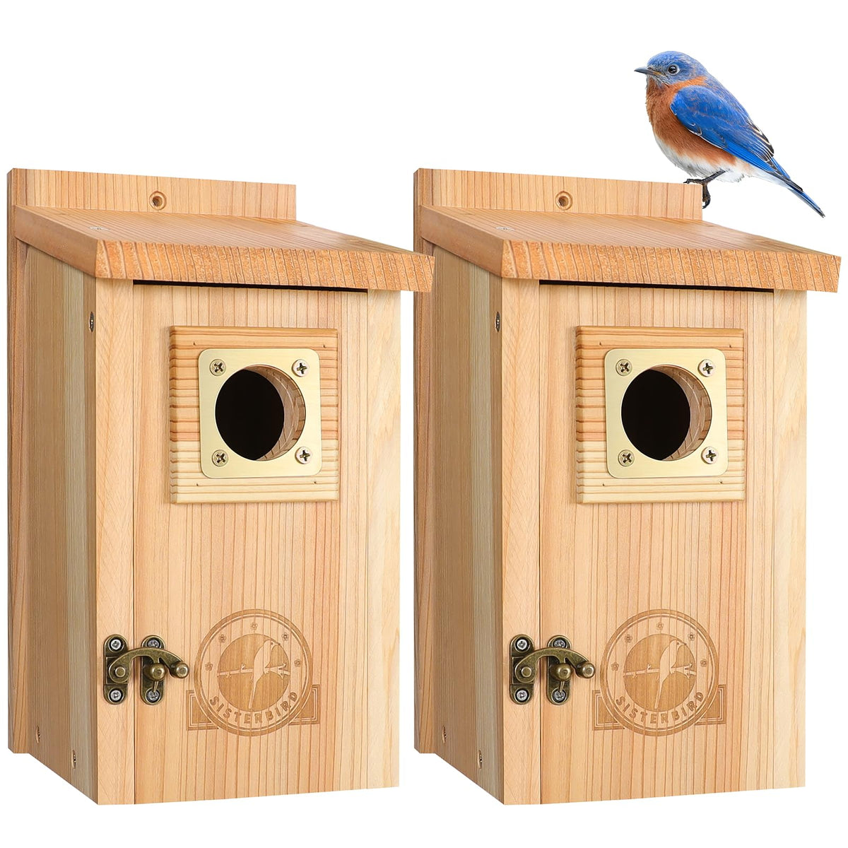 SISTERBIRD bluebird house with copper guard protects nestlings outdoors.