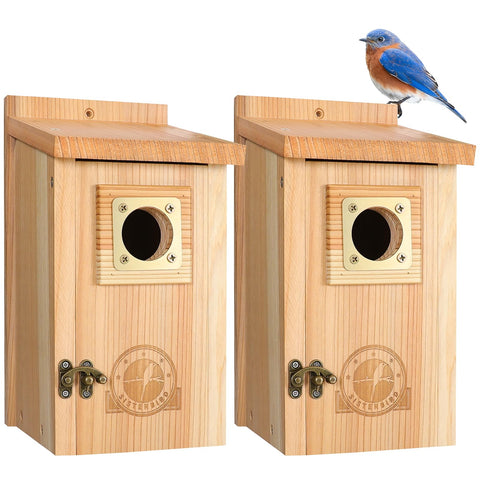SISTERBIRD bluebird house with copper guard protects nestlings outdoors.