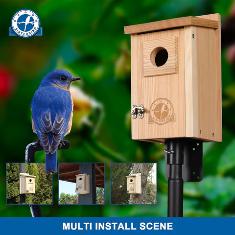 SISTERBIRD bluebird-house entrance-hole highlights attracting target species.
