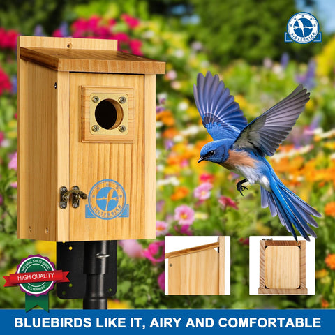 SISTERBIRD bluebird house front view showing easy-clean access