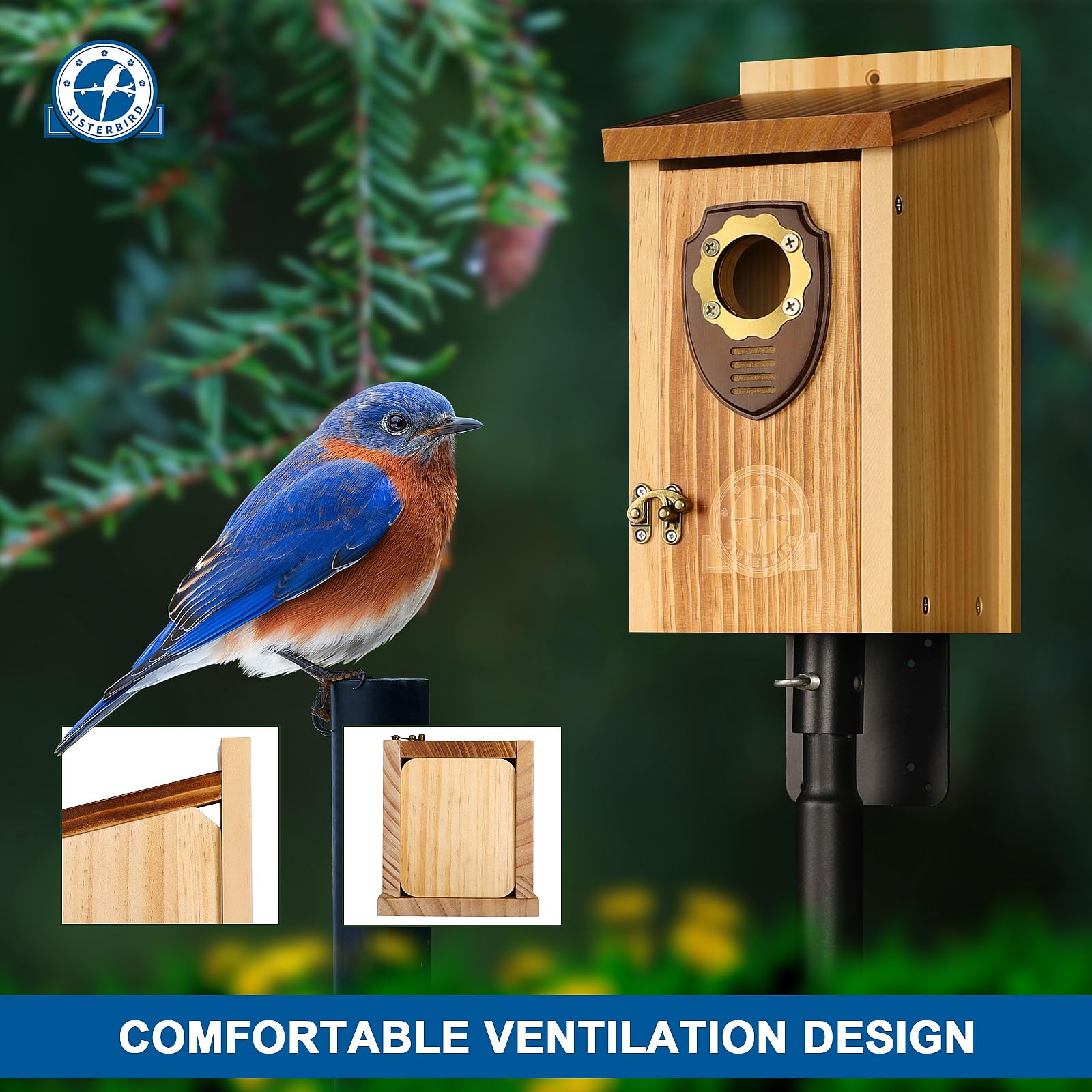 SISTERBIRD bluebird house front view: classic design for easy inspection and cleaning