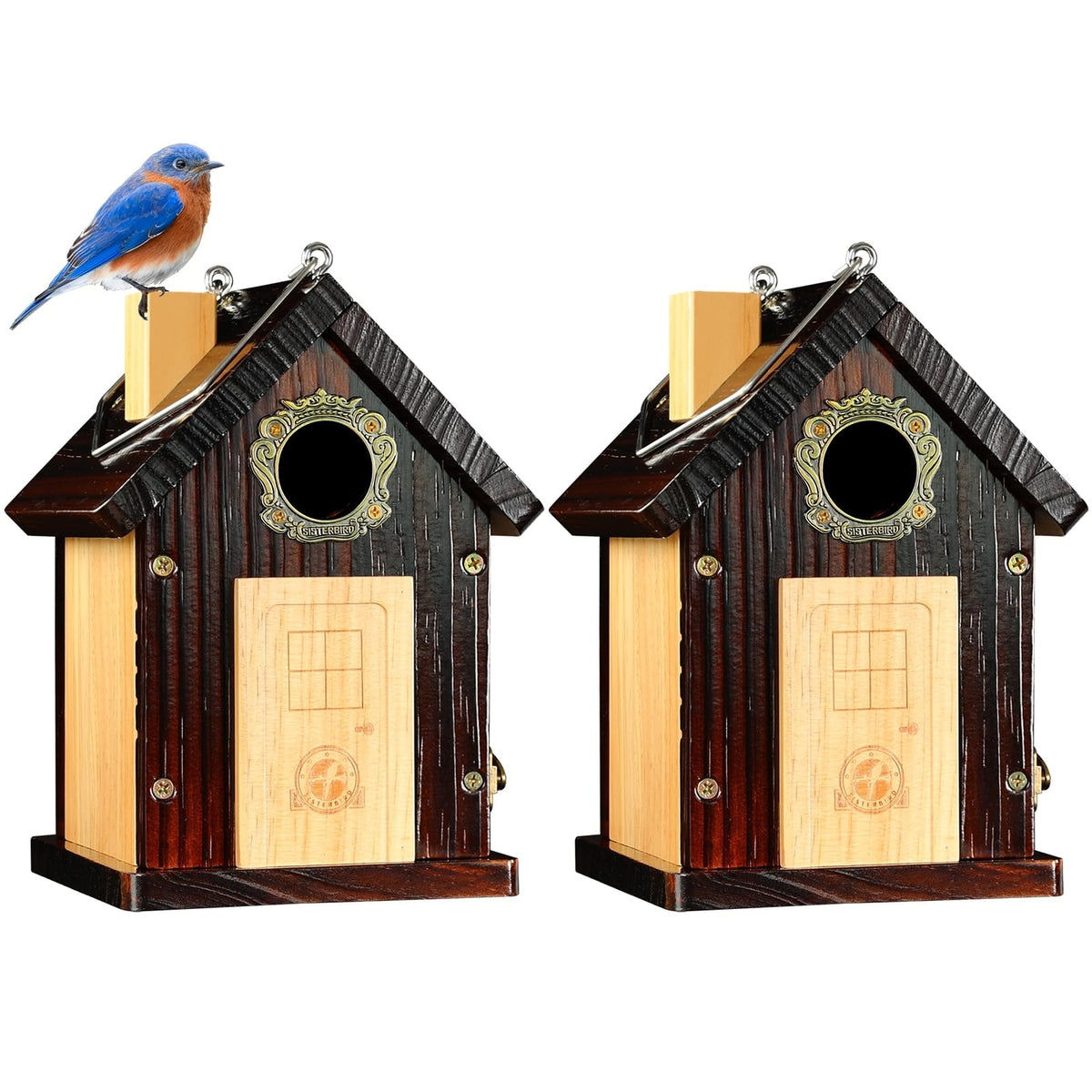 SISTERBIRD bluebird house for outdoor hanging in a sunny garden.